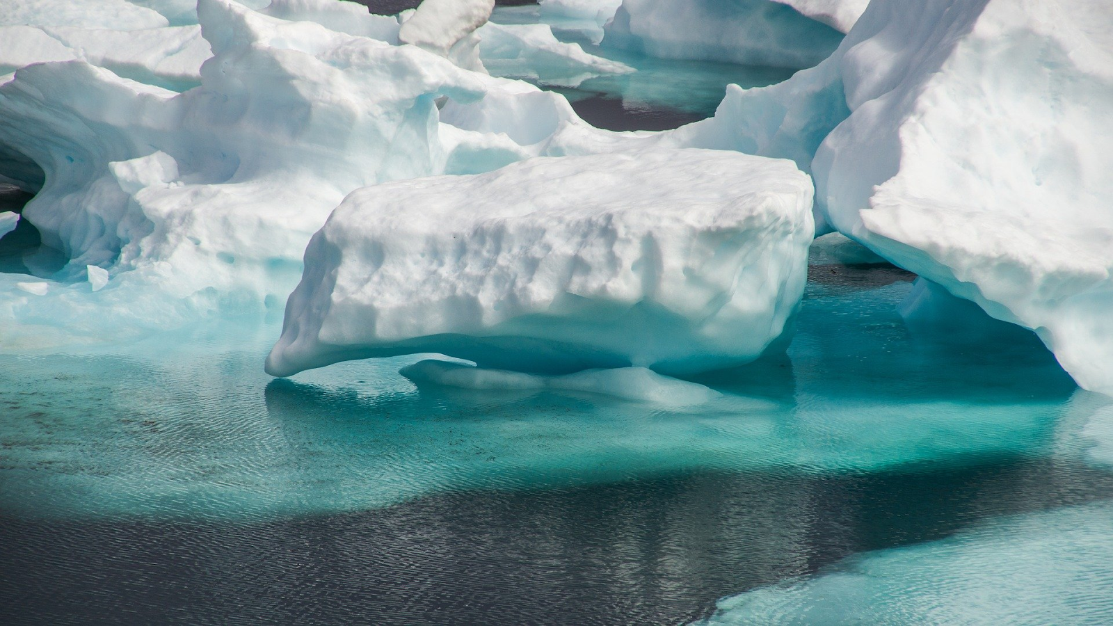 Arctic sea ice.