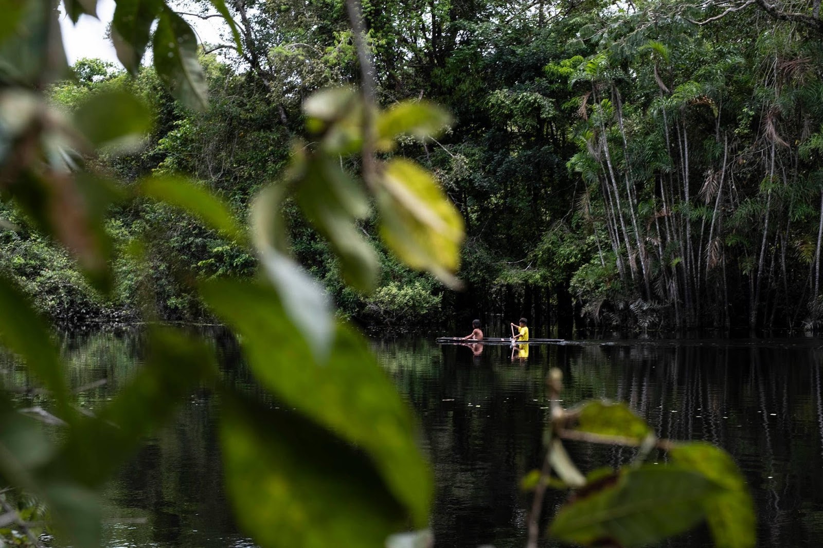 Bank of the Aguarico River