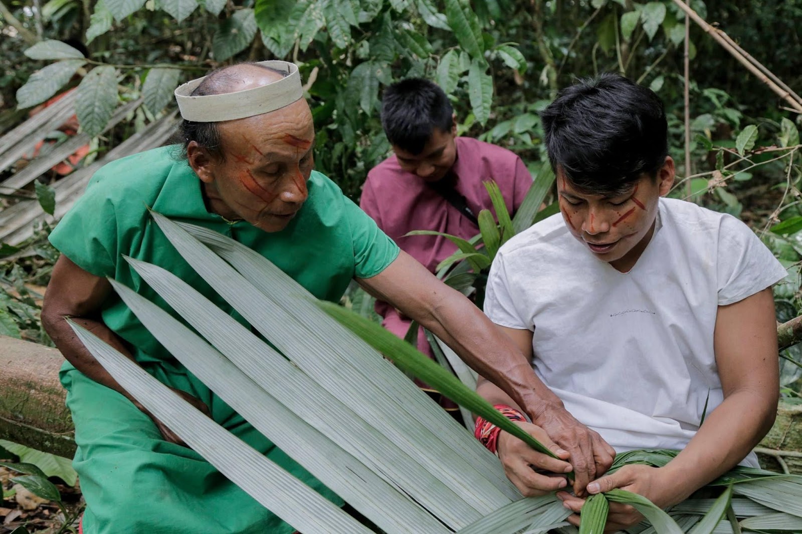 Jimmy and Ribaldo Piaguaje learning about plants from an elder.