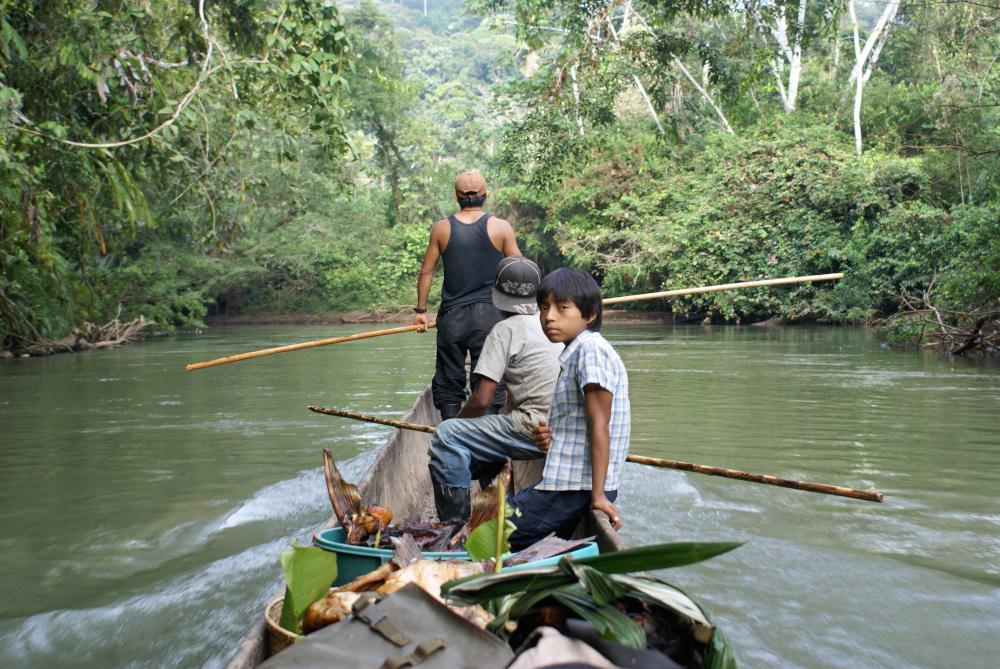 image for article Voice of the Living Forest: Interview with Indigenous Resistance Leader José Gualinga