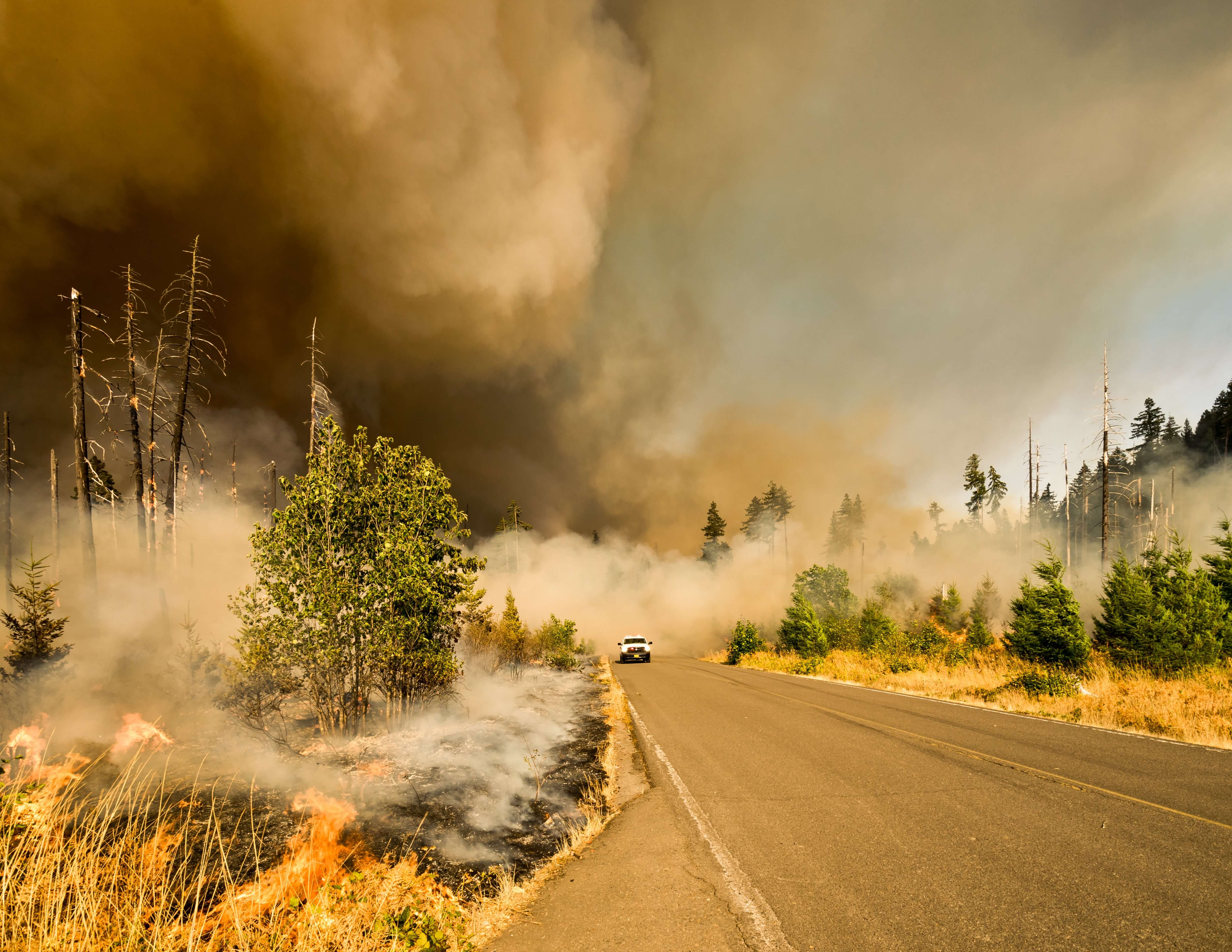 Large smoke plumes across a road