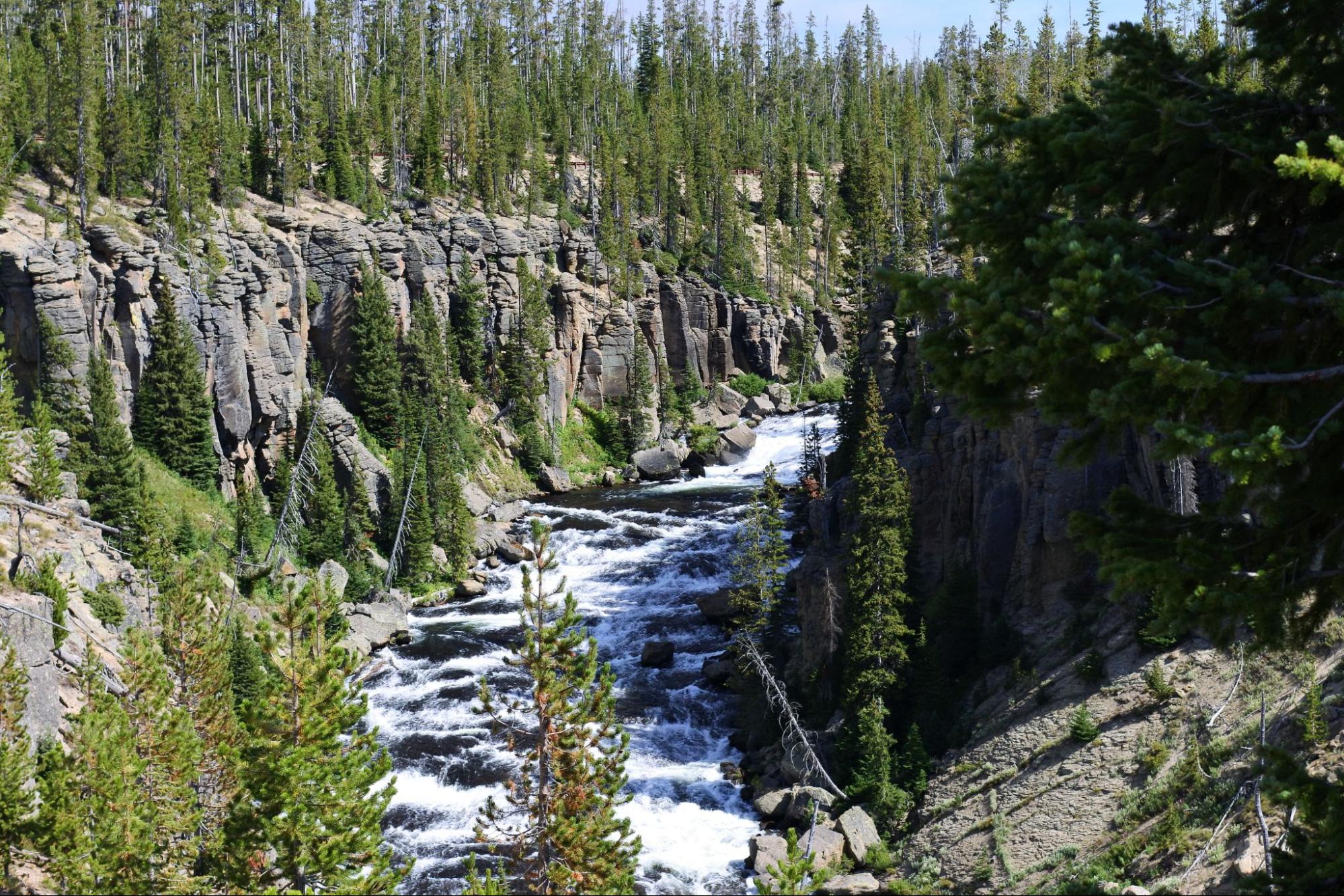 A river, surrounded by rocks and trees